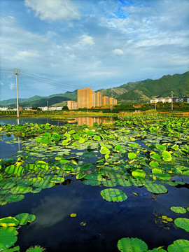 会泽湿地公园