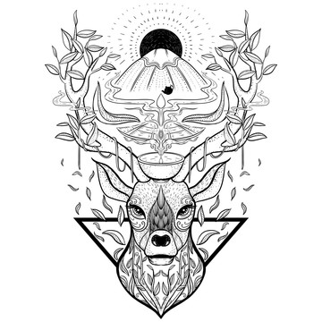 鹿頭茶葉包裝插畫線稿