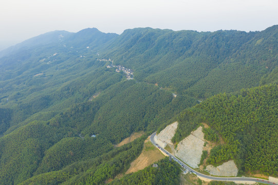 茶山竹海