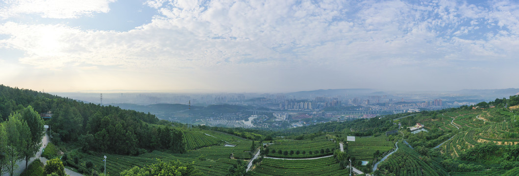 茶山竹海