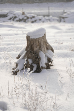 雪景