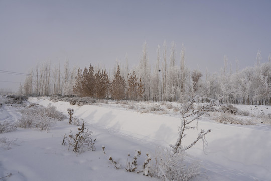 雪景