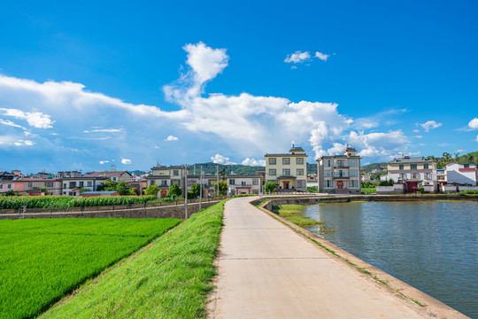 牟定县金马村