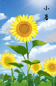 二十四節(jié)氣插畫(huà)小暑