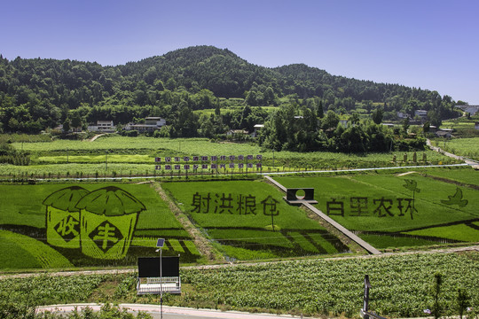 射洪牛心村丰收图案