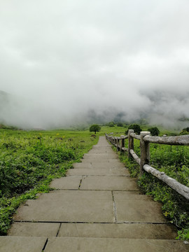 山间小道