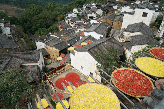 婺源篁岭晒秋人家景色