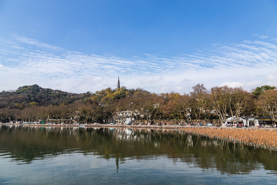 杭州北山街秋色