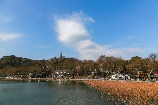 杭州北山街秋色