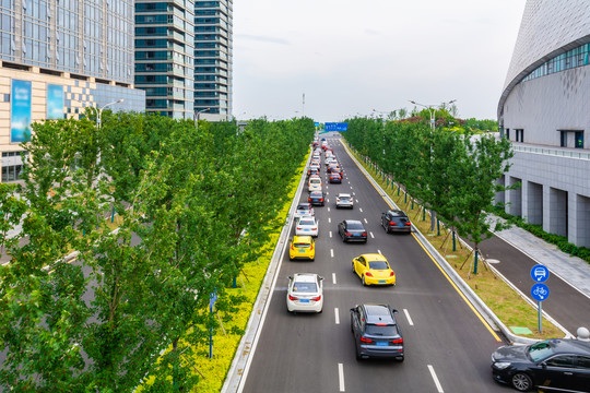 城市道路交通绿化