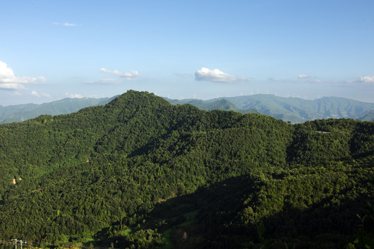 绿色的大山