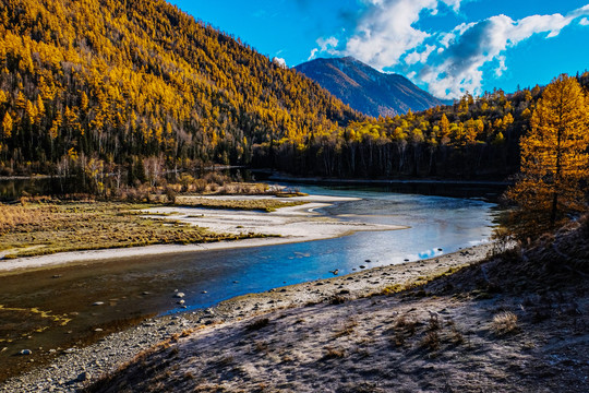 喀纳斯秋景