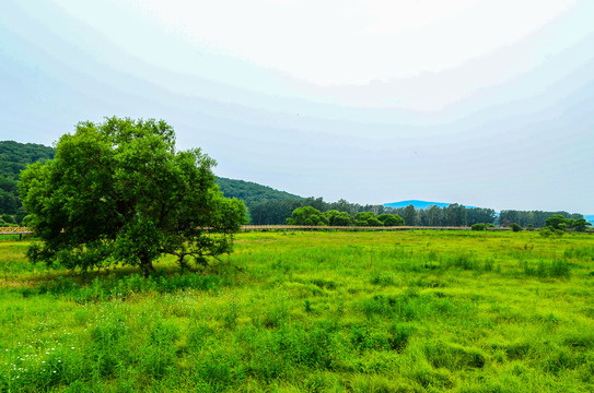 长白山风景