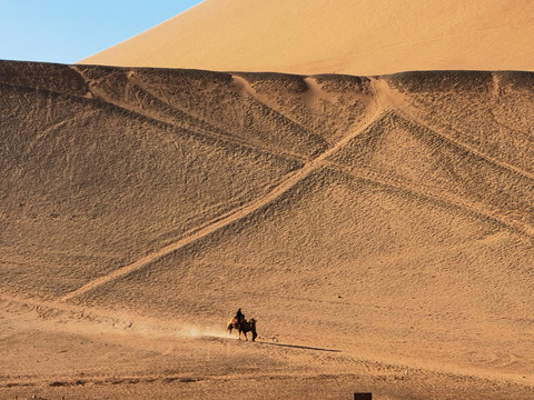 新疆沙漠驼铃