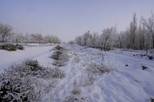 雪景