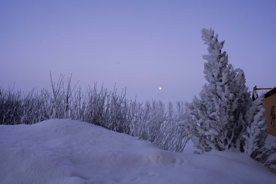 雪景