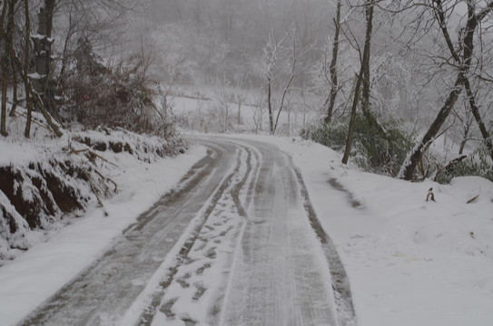 残雪枯枝