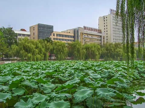 许昌市街景