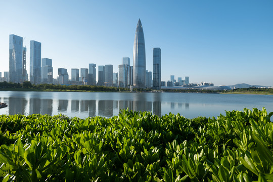 深圳南山人才公园市风光