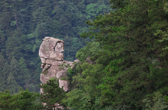 庐山骆驼峰头盔牧童