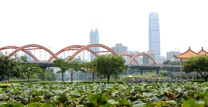 深圳洪湖公园彩虹桥