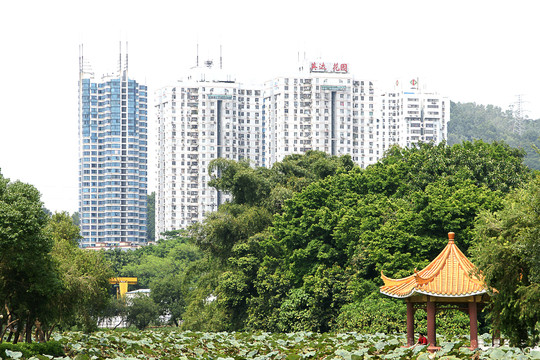 深圳布吉关英达花园