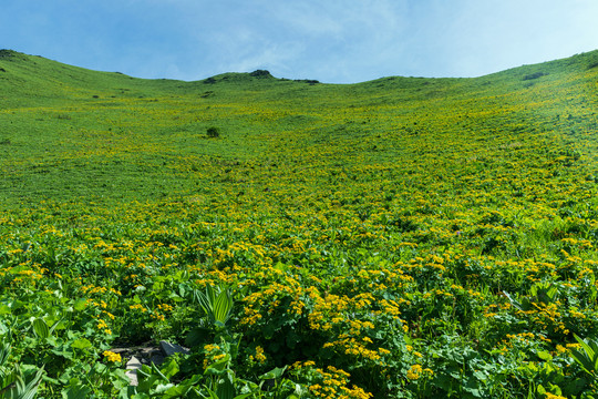 阿坝高原