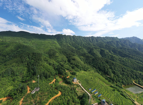 江西永新山林