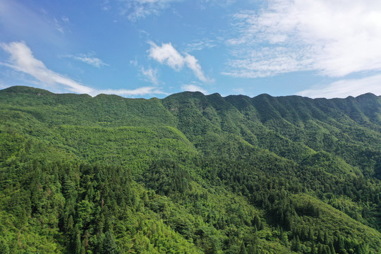 江西永新山林