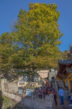 九華山閔公墳