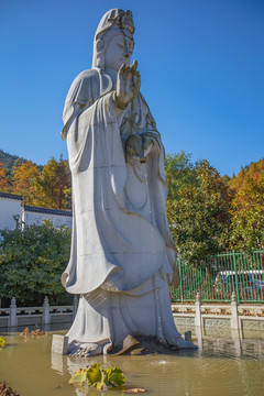 九华山旃禅林