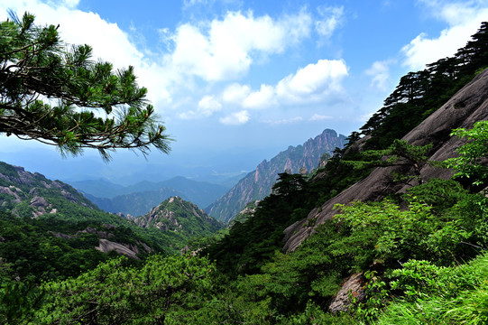 黃山
