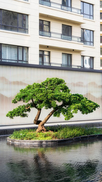 高档小区住宅园林景观设计