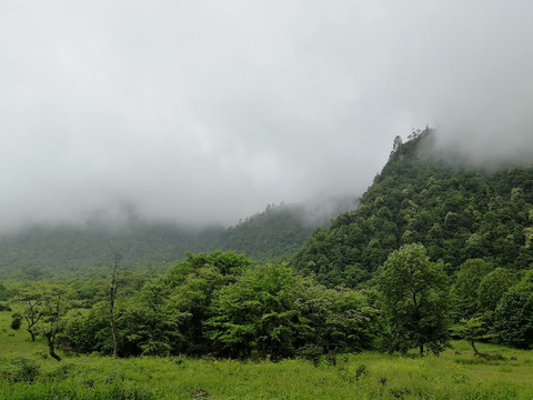 山间迷雾