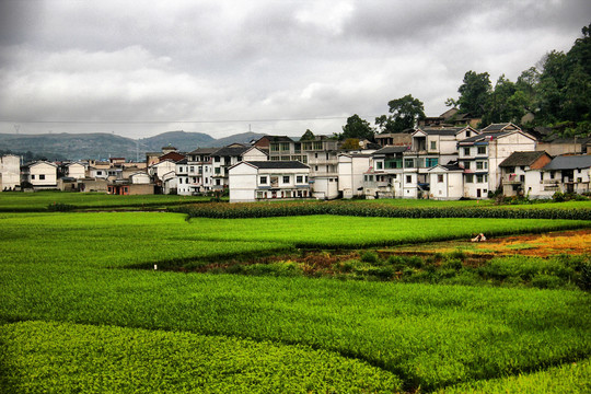 贵州大地