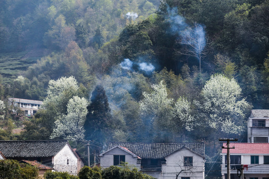 嵊州百丈飞瀑景区