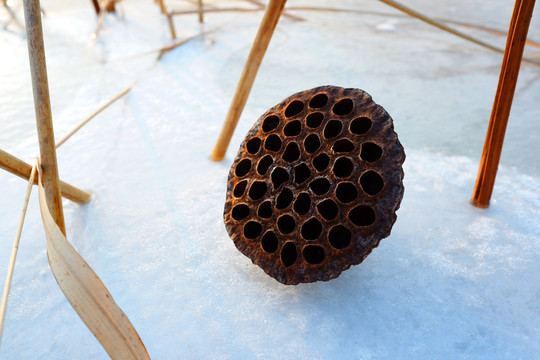 残荷冰雪