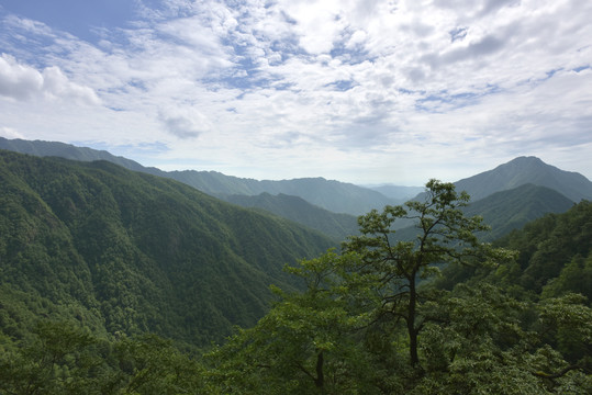 梵净山风景区