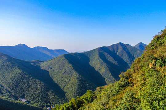 南山竹海