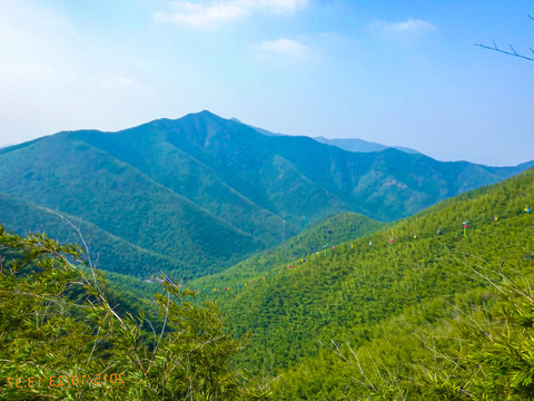 南山竹海