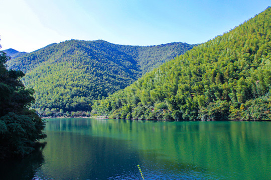 江苏南山竹海