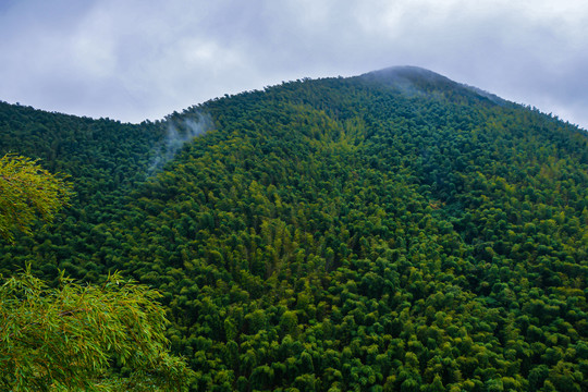 南山竹海