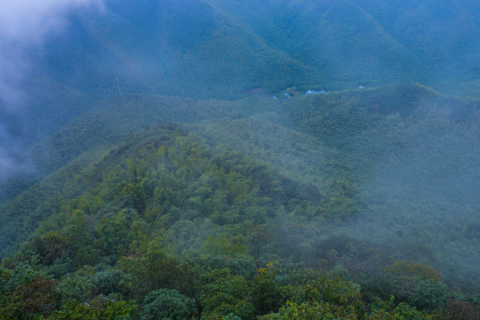 江苏南山竹海