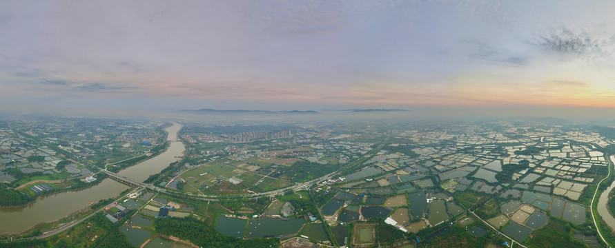 佛山三水芦包田园晨曦