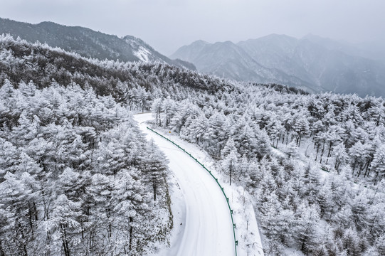 雪景