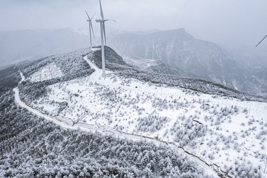 雪景