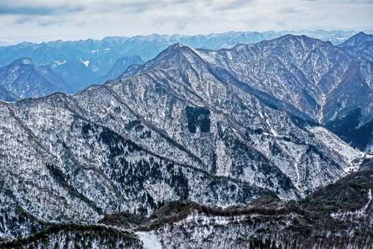 雪景