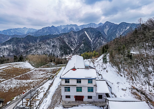 雪景