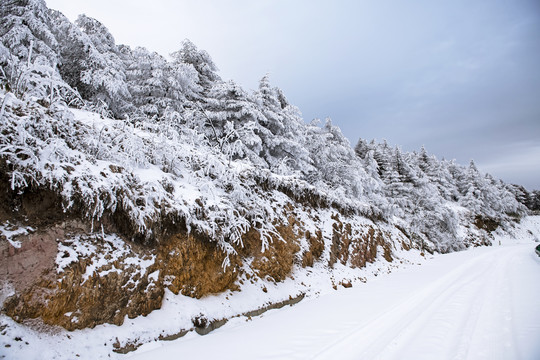 雪景