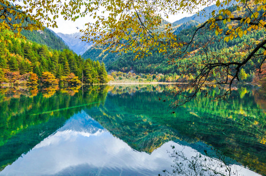 九寨沟秋景